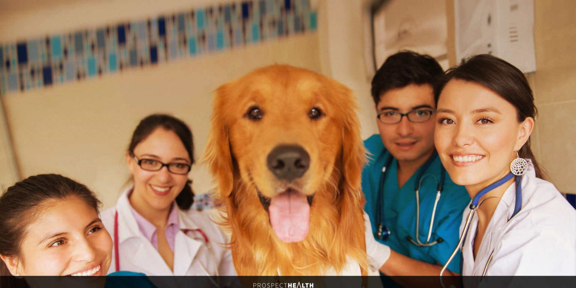 What Equipment Do I Need for Vet School? A Vet Student’s Essential Kit List