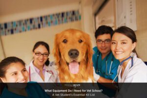 What Equipment Do I Need for Vet School? A Vet Student’s Essential Kit List
