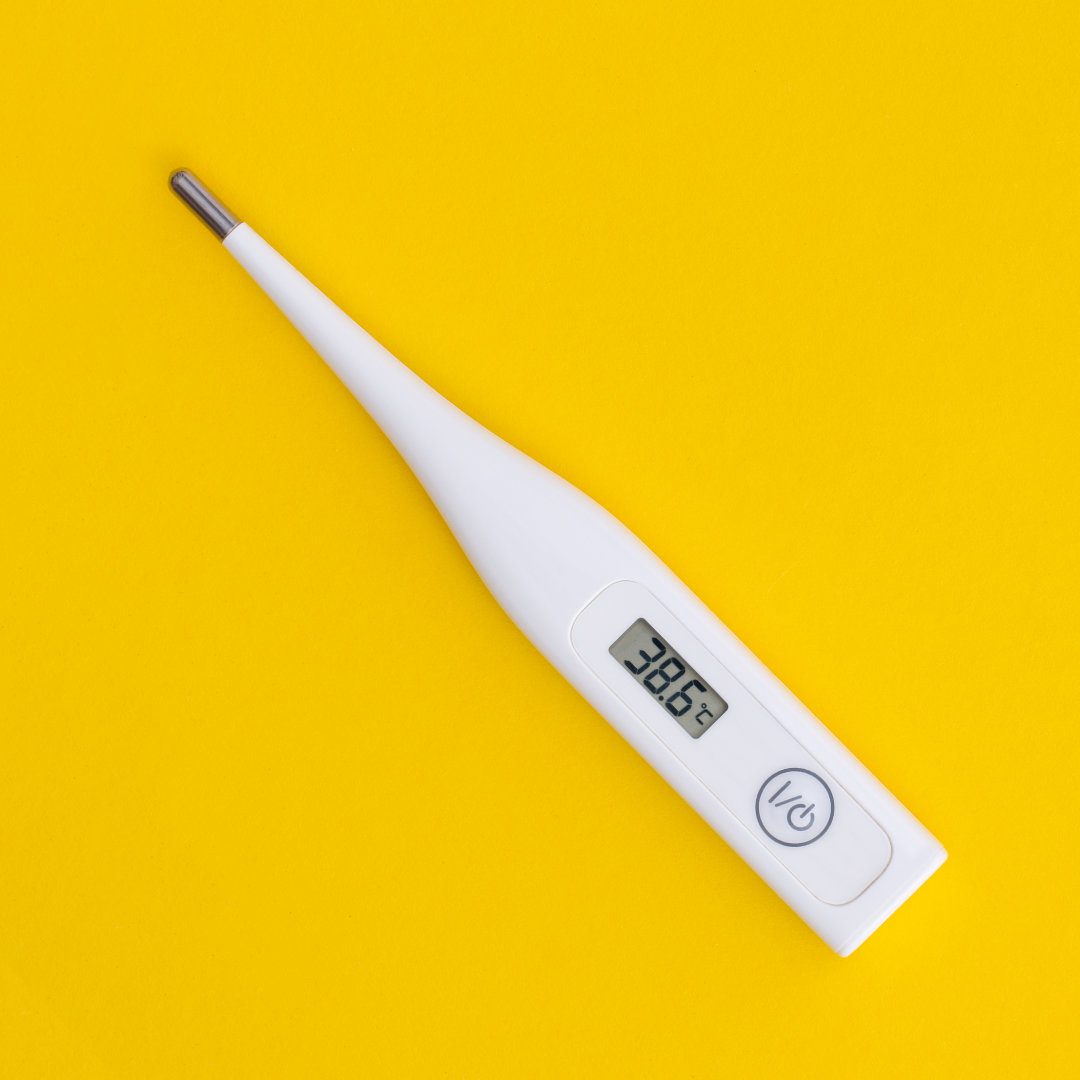 What Equipment Do I Need for Vet School? A Vet Student’s Essential Kit List