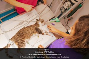 Local Anaesthetics in Veterinary Practice: A Practical Guide for Veterinary Students and New Graduates