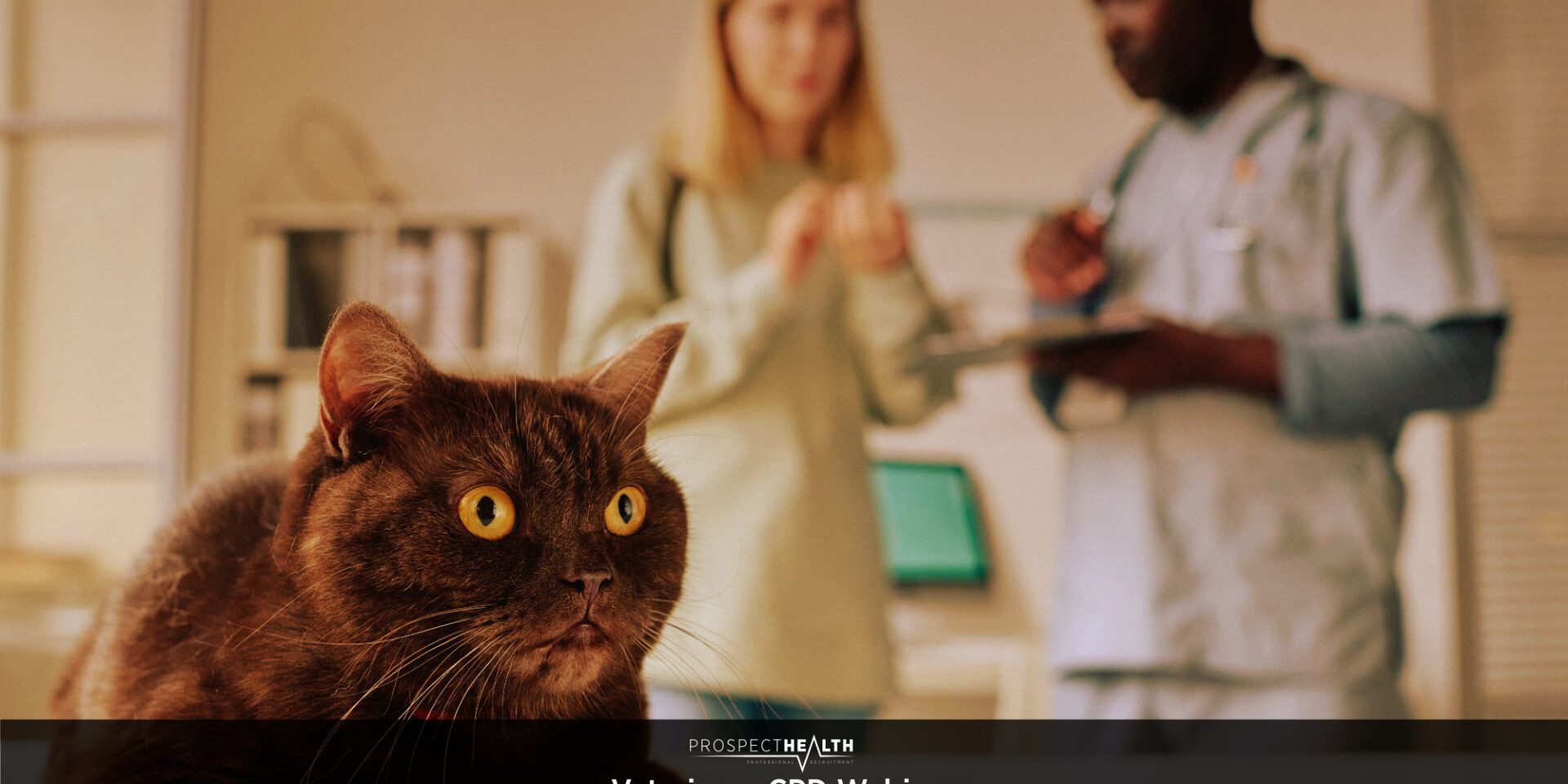 Veterinary Communication Skills: 7 Techniques Every Vet Should Master