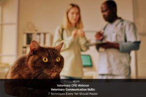 Veterinary Communication Skills: 7 Techniques Every Vet Should Master